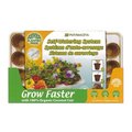 Plant Best 3459 28 Coir Pot Self Greenhouse Kit 440629384